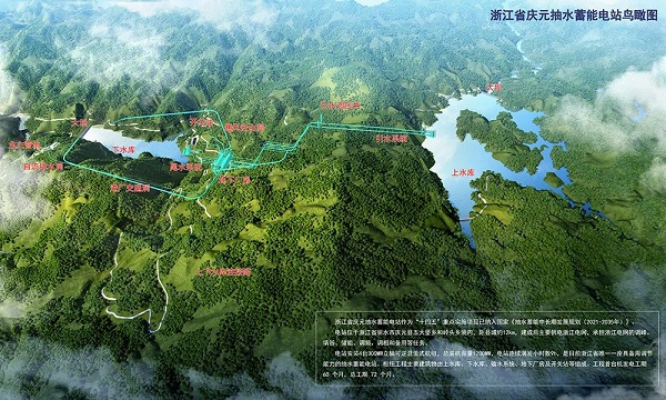 庆元鸟瞰图.jpg